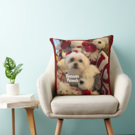 Verder Vrienden Decor Pet Kussen