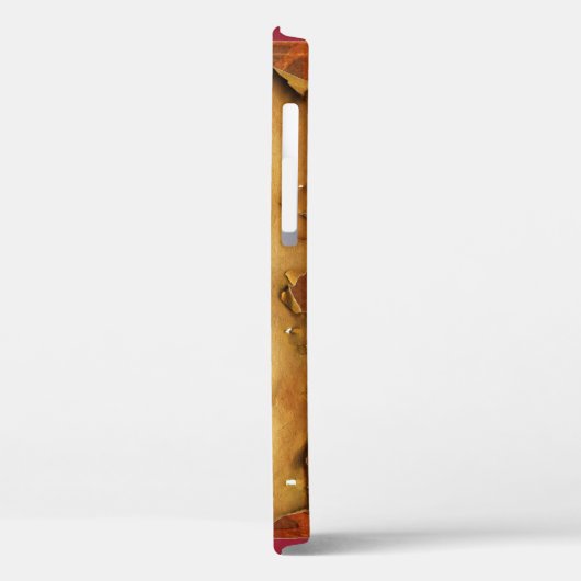 Verdichting van het stroomgebied van de Sint Steph Case-Mate iPhone Case (Achterkant / Links)