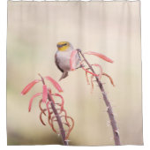 Verdin doorgesneden op penstemon douchegordijn (Voorkant)