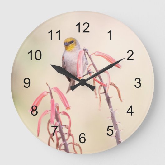 Verdin doorgesneden op penstemon grote klok (Voorkant)