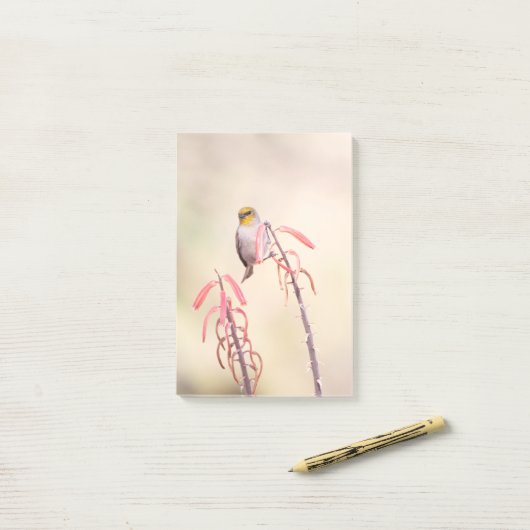 Verdin doorgesneden op penstemon post-it® notes (Op bureau)