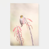 Verdin doorgesneden op penstemon post-it® notes (Voorkant)