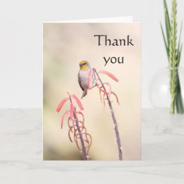 Verdin, geperst op penstemon, bedankt