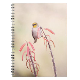 verdin met penstemon notitieboek