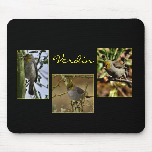 Verdin vogelmousepad muismat (Voorkant)