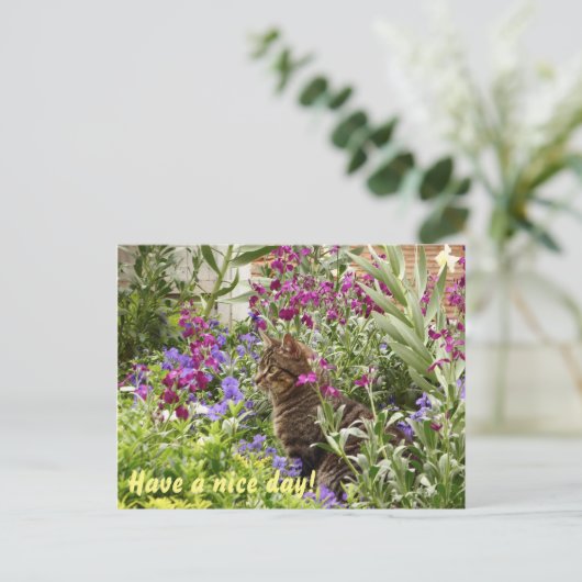 Verdomde kat! briefkaart (Staand voorkant)