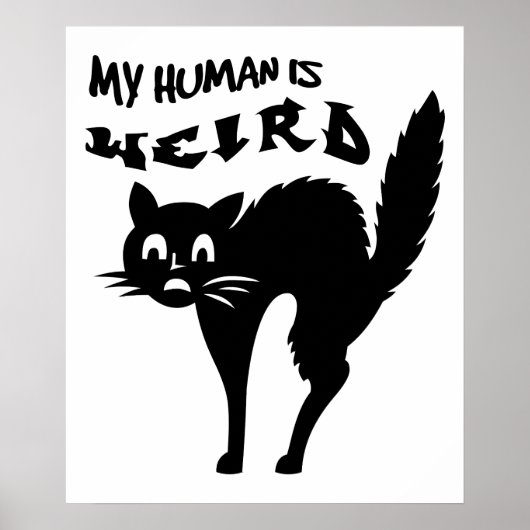 Verdomde kat poster (Voorkant)