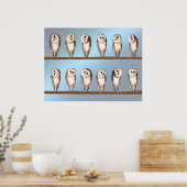 Verdomde uilen poster (Keuken)