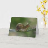 Verdorie! Weer te laat. Kaart (Gele Bloem)
