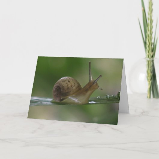 Verdorie! Weer te laat. Kaart (Voorkant)