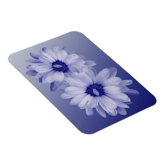 verdraaide blauwe bladen magneet (Rechterzijde)