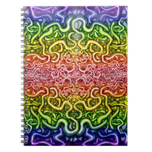 Verdraaide dubbele regenboog notitieboek