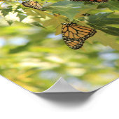 Verdrag betreffende de botervlieg poster (Hoek)