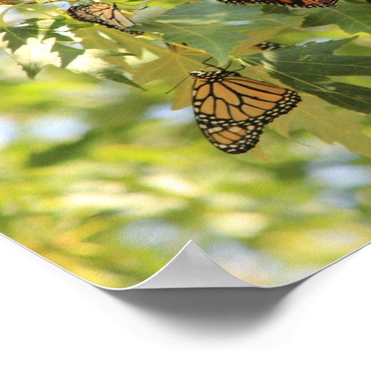 Verdrag betreffende de botervlieg poster (Hoek)