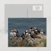 Verdrag van Puffin Briefkaart (Voorkant / Achterkant)