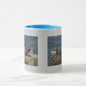 Verdrag van Puffin Mok (Midden)