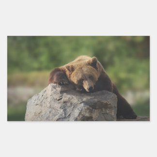 verdragen rechthoekige sticker