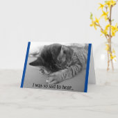Verdrietige Kitten Beterschap Wenskaart Kaart (Gele Bloem)