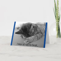 Verdrietige Kitten Beterschap Wenskaart