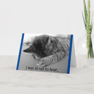 Verdrietige Kitten Beterschap Wenskaart Kaart