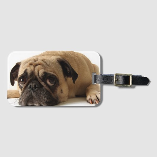 Verdrietige Pug Bagagelabel (Voorkant (horizontaal))
