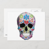 Verdroogde schedel briefkaart (Voorkant / Achterkant)