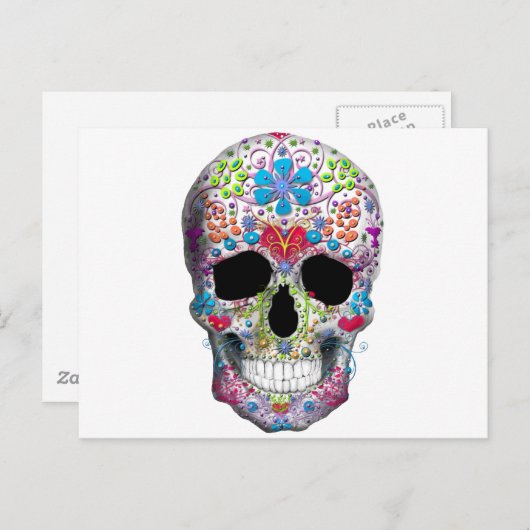 Verdroogde schedel briefkaart (Voorkant / Achterkant)
