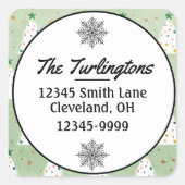 Verdroogde witte kerstbomen Groene Ster & Ornament Vierkante Sticker (Voorkant)