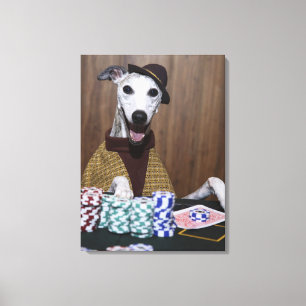 Verdrukte Whippet-hond op goktafel Canvas Afdruk