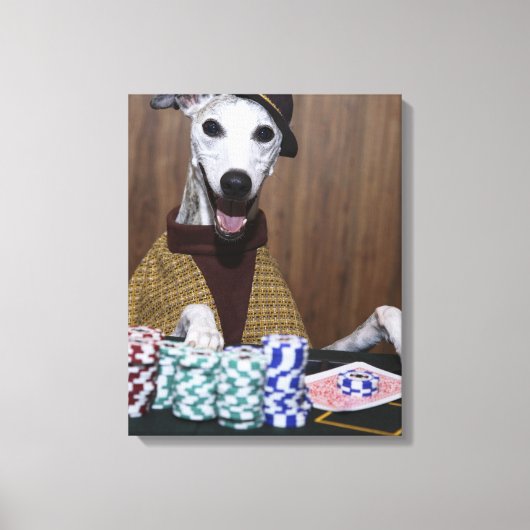 Verdrukte Whippet-hond op goktafel Canvas Afdruk (Voorkant)