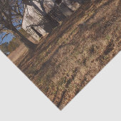 Verdunnapidde lichtbruine schuur amper bruine gras tissuepapier (Detail)