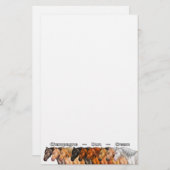 Verdunningspaarden Briefpapier (Voorkant / Achterkant)