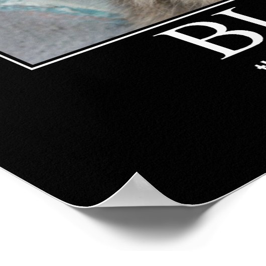 Verdwenen ben.. Cat Lover Artwork Poster (Hoek)