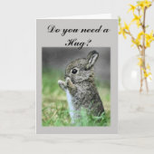 Vereis een Konijntje van de Omhelzing Kaart (Gele Bloem)