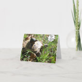 Vereis een Lift? Kaart (Voorkant)