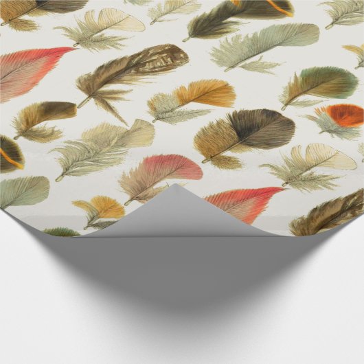 veren cadeaupapier (Hoek)