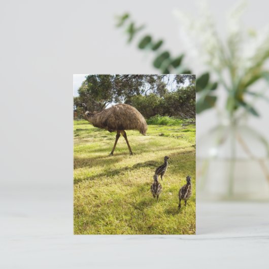 Veren en voetstappen: Vader Emu met kuikens Briefkaart (Staand voorkant)