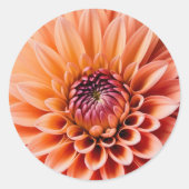 Veren in Perzik Fuzz kleur, Ronde Sticker (Voorkant)