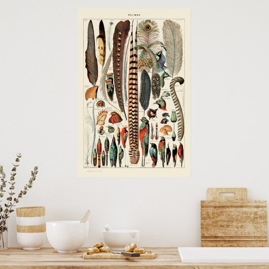 veren van Adolphe Millot Poster (Keuken)