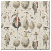 Veren van Fancy: Whimsy struisvogel Stof (Close Up)