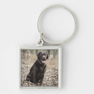 Verenigd Koninkrijk, Engeland, Suffolk, Thetford F Sleutelhanger