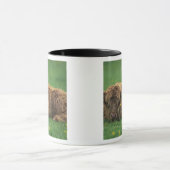 Verenigd Koninkrijk, Schotland. Hogekalf Mok (Midden)