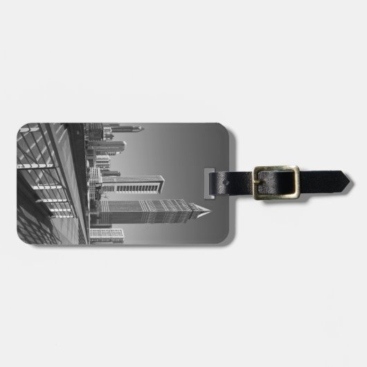 Verenigde Arabische Emiraten, Dubai, Dubai City. Bagagelabel (Voorkant horizontaal)