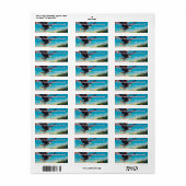 Verenigde Staten 250 Semiquincentennial Bald Eagle Etiket (Full Sheet)