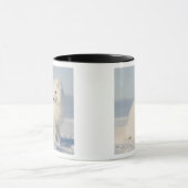 Verenigde Staten, Alaska, 1002 Kustvlakte van het  Mok (Midden)