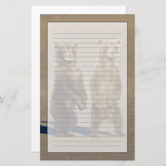 Verenigde Staten. Alaska. Kust Bruin Beer welpen Briefpapier (Voorkant / Achterkant)