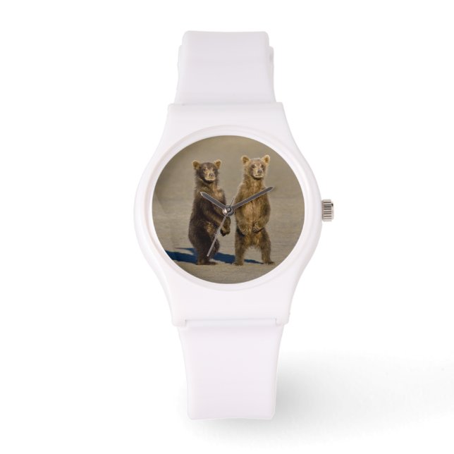Verenigde Staten. Alaska. Kust Bruin Beer welpen Horloge (Voorkant)