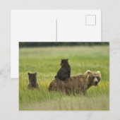 Verenigde Staten, Alaska, Lake Clark National Park Briefkaart (Voorkant / Achterkant)