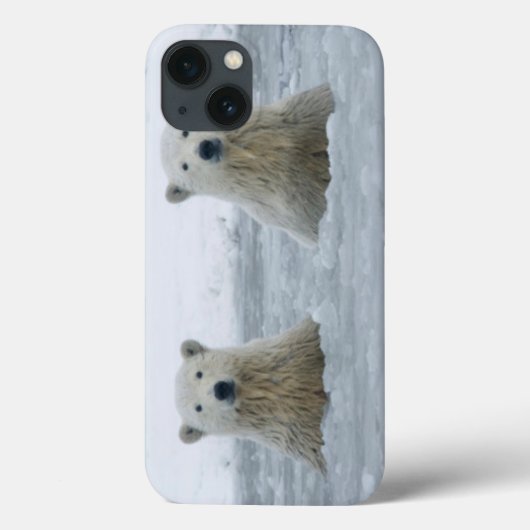 Verenigde Staten, Alaska, Noordhelling, gebied 2 1 Case-Mate iPhone Case (Achterkant)