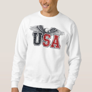 Verenigde Staten - American Eagle Varsity Style Cl Trui